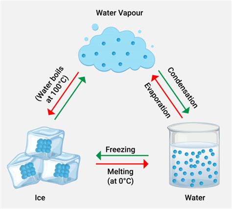 水的形態